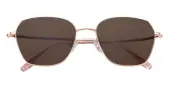 Polygon Sunglasses, Full Frame Rose Gold Metal - SUP1793