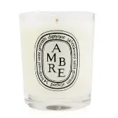 DiptyqueScented Candle - Ambre (Amber) 70g/2.4oz