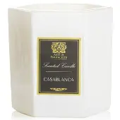 Antica FarmacistaCandle - Casablanca 255g/9oz