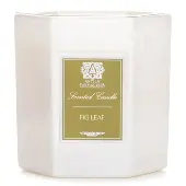 Antica FarmacistaCandle - Fig Leaf 255g/9oz