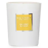 Max BenjaminCandle - Grapefruit & Pomelo 190g/6.5oz