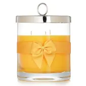 RigaudScented Candle - # Tournesol 750g/26.45oz