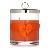 RigaudScented Candle - # Vesuve 750g/26.45oz