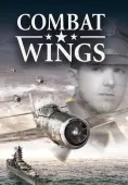Combat Wings - PC Game Key