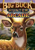 Big Buck Hunter Arcade