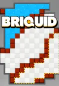 Briquid