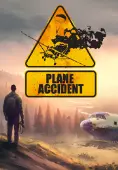 Plane Accident
