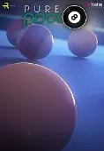 Pure Pool