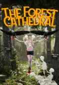 The Forest Cathedral