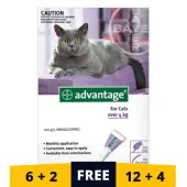 Advantage Cats Over 10lbs (Purple) 12 Doses + 4 Free