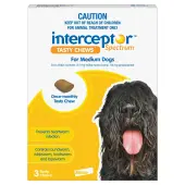 Interceptor For Medium Dogs 26-50 Lbs (Yellow) 12 Chews
