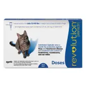 Revolution Cats 5 -15lbs (Blue) 12 Doses