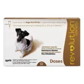 Revolution Small Dogs 10.1 - 20lbs (Brown) 6 Doses