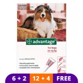 Advantage Large Dogs 21-55lbs (Red) 4 Doses
