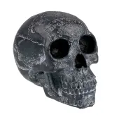 Decoration Dark Spirits
