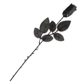Black rose