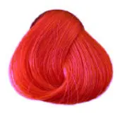 color to hair DIRECTIONS