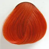 color to hair DIRECTIONS