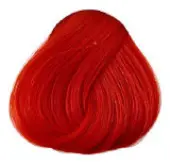 color to hair DIRECTIONS