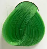 color to hair DIRECTIONS