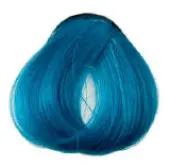 color to hair DIRECTIONS