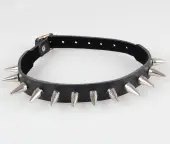 necklace Spikes 1