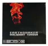 vinyl Malignant Tumour