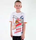 boys' t-shirt TV MANIA - Angry Birds / Star Wars - White 8/128
