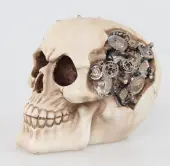 decoration Skull