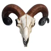 decoration Rams Skull Medium