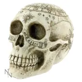 decoration Astrological Skull