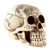 decoration Spirits Skulls