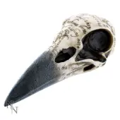 decoration Edgar's Raven Skull