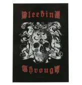 Flag Bleeding Through - Truth