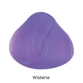 hair dye DIRECTIONS