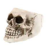 ashtray (decoration) Skull