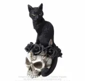 Decoration ALCHEMY GOTHIC - Black Cat & Skull