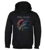 Men's Pink Floyd Sweatshirt - Wish you were - LOW FREQUENCY XXL