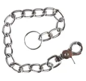 chain Silver - 30cm