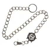 Chain Skeleton