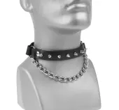 Collar/ shoe harness