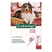 Advantage Large Dogs 21-55lbs (Red) 4 Doses