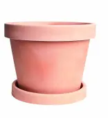 EverPot™ Tree Dwarfing Kit - Large (Color: Terra di Sienna, EverPot™ Includes Saucer: No)